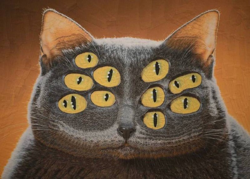 Утречка, #котизаи  🤗
👩‍🎨 loladupre #сюр #art #вдохновение #inspiration #art #cat #котики | Сетка — социальная сеть от hh.ru