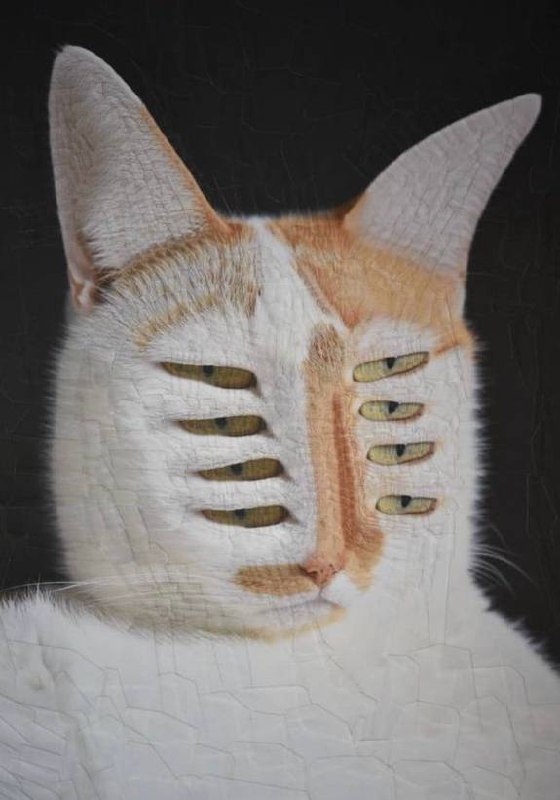 Утречка, #котизаи  🤗
👩‍🎨 loladupre #сюр #art #вдохновение #inspiration #art #cat #котики | Сетка — социальная сеть от hh.ru