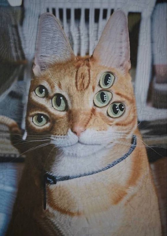 Утречка, #котизаи  🤗
👩‍🎨 loladupre #сюр #art #вдохновение #inspiration #art #cat #котики | Сетка — социальная сеть от hh.ru