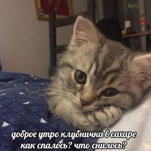 я: просыпаюсь
50 рабочих уведомлений из всех мессенджеров: | Сетка — социальная сеть от hh.ru