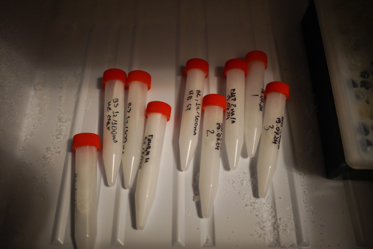 Своя среда Мурасиге-Скуга | Сетка — социальная сеть от hh.ru