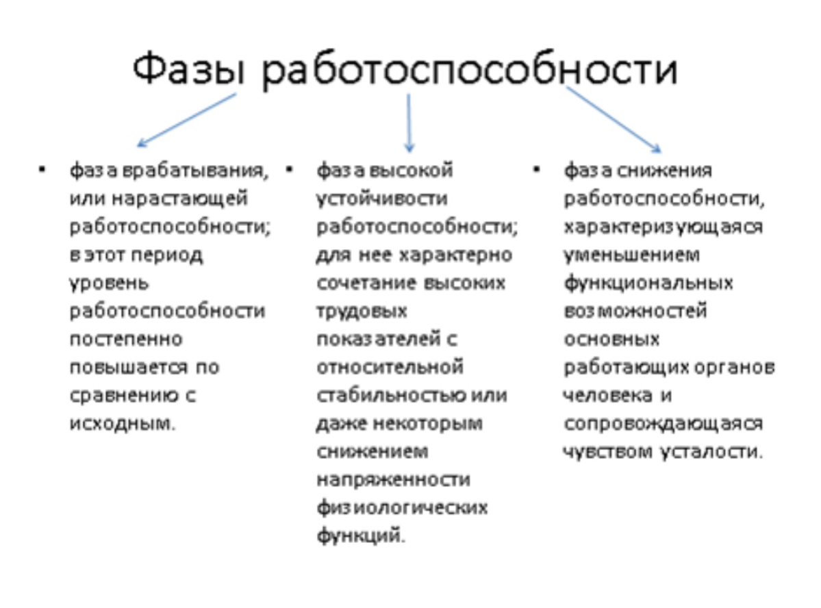 🔴Работоспособность. Что необходимо учитывать для планирования рабочего дня | Сетка — социальная сеть от hh.ru