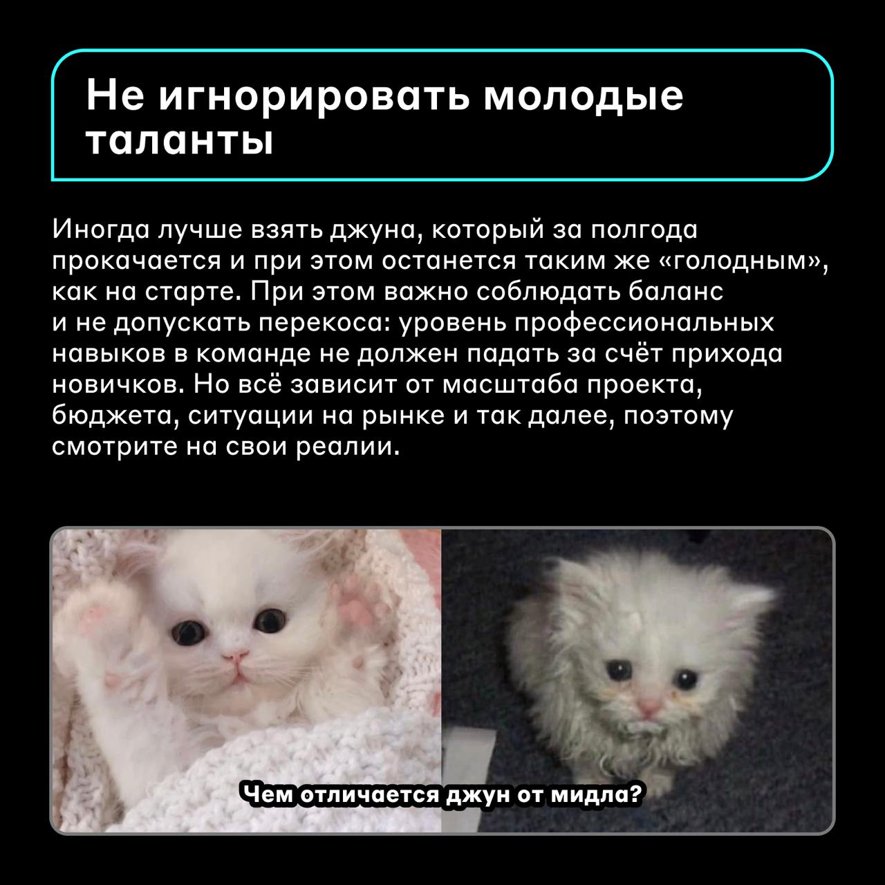Представьте ситуацию 🤔
Вы собрали команду компетентных специалистов с опытом и поставили им амбициозную задачу | Сетка — социальная сеть от hh.ru