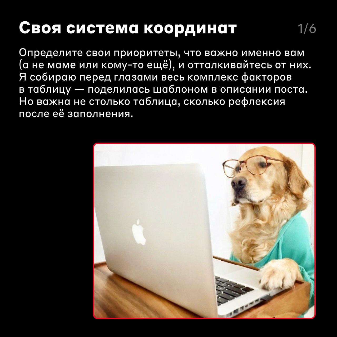 Перед тем, как выбрать 🤓
Несколько потенциальных работодателей прислали вам оффер — что выбрать? Как случайно не оказаться в стартапе, если хочется стабильности на годы?
В карточках Светлана Грайхе, д... | Сетка — социальная сеть от hh.ru