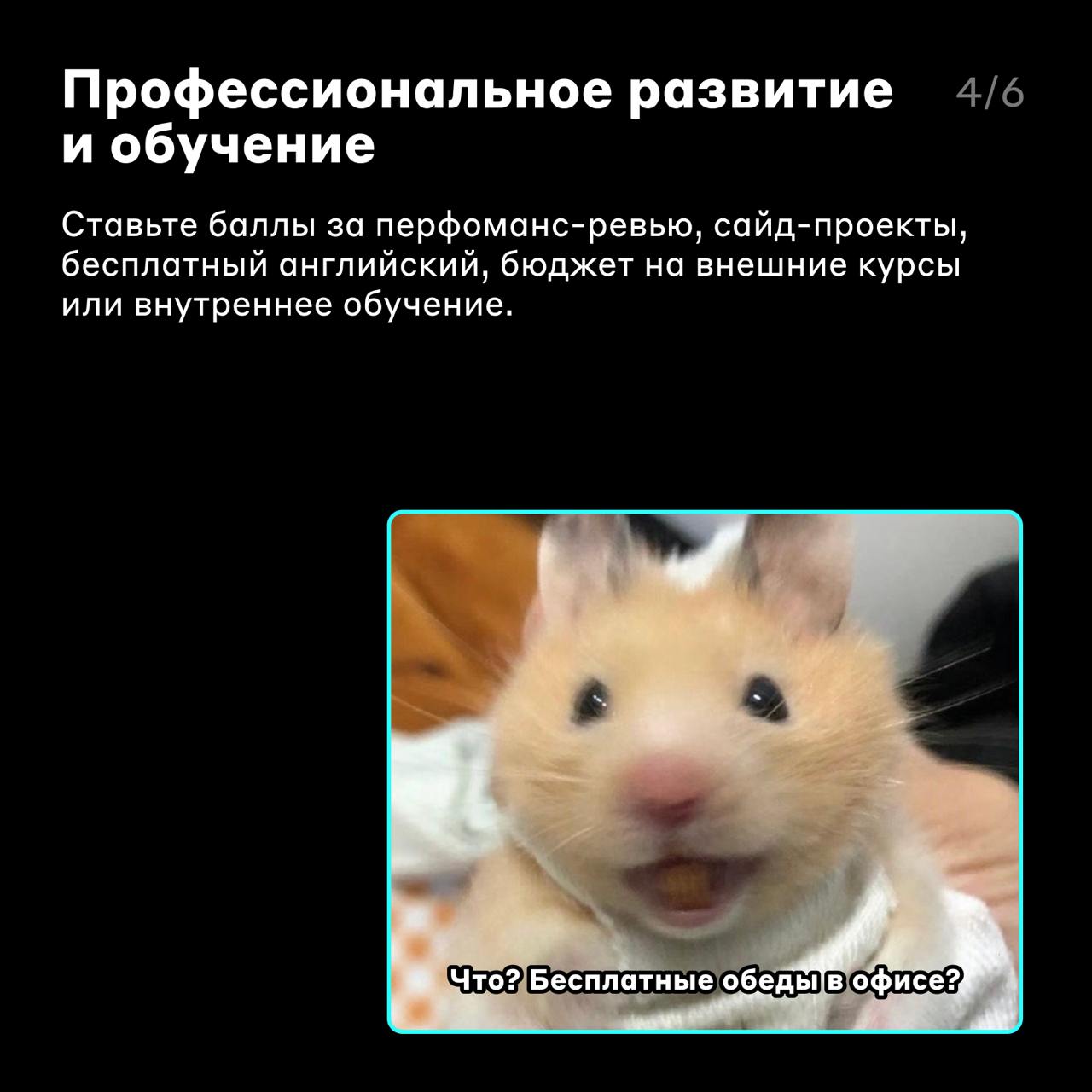 Перед тем, как выбрать 🤓
Несколько потенциальных работодателей прислали вам оффер — что выбрать? Как случайно не оказаться в стартапе, если хочется стабильности на годы?
В карточках Светлана Грайхе, д... | Сетка — социальная сеть от hh.ru