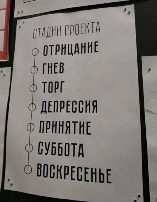 Держимся господа, чуть-чуть осталось!🐜 | Сетка — социальная сеть от hh.ru