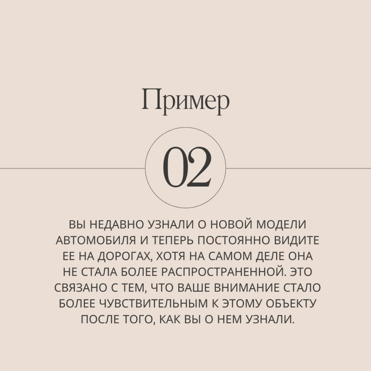 Продолжаем путешествие по ловушкам разума и сегодня разберем феномен Баадера-Майнхоф | Сетка — социальная сеть от hh.ru