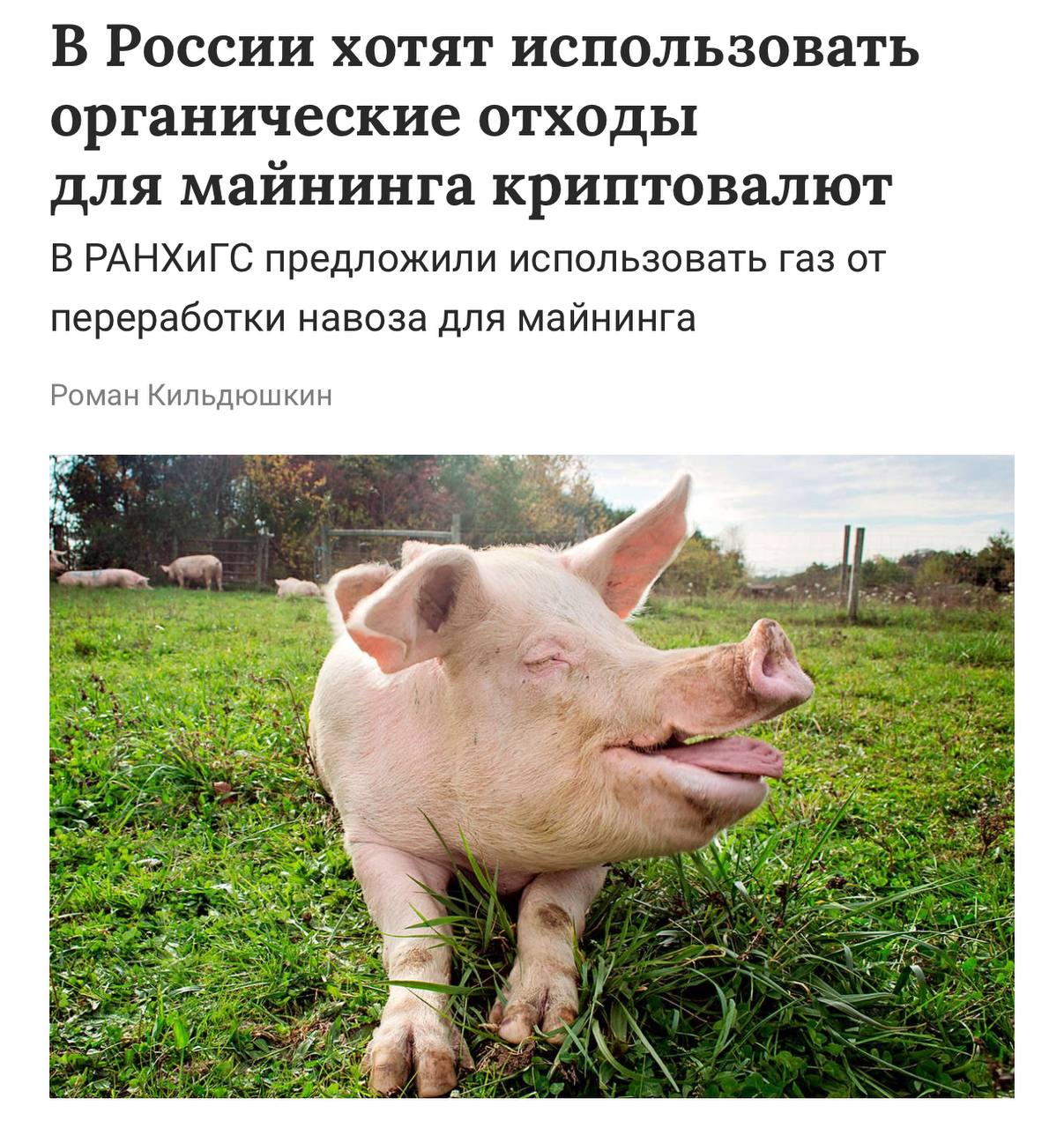 Россиянам предложили майнить криптовалюту с помощью навоза.
Исследователи из РАНХиГС полагают, что нужно сжигать органические отходы и использовать газ от переработки в майнинге | Сетка — социальная сеть от hh.ru