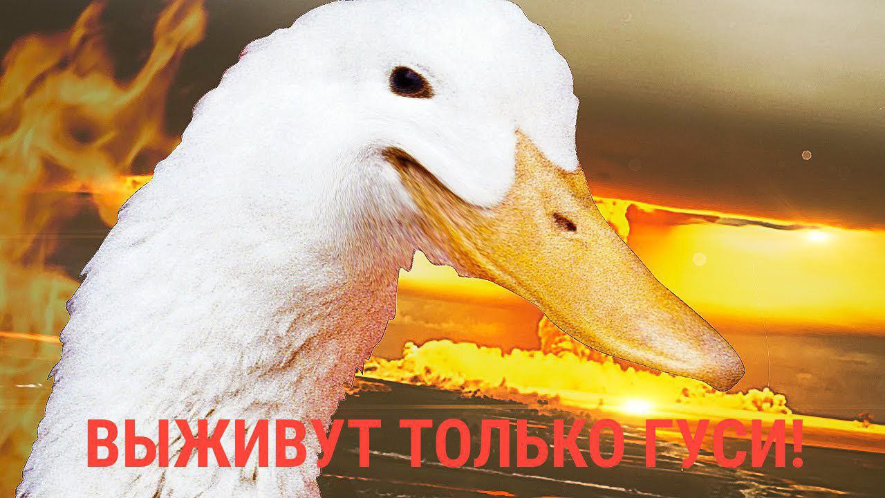 А вы знали про такой город в Костромской глубинке как Кологрив?
Город этот действительно уникальный:
- в нем есть жд вокзал, хотя никогда не было железной дороги;
- его как-то практически полностью пе... | Сетка — социальная сеть от hh.ru