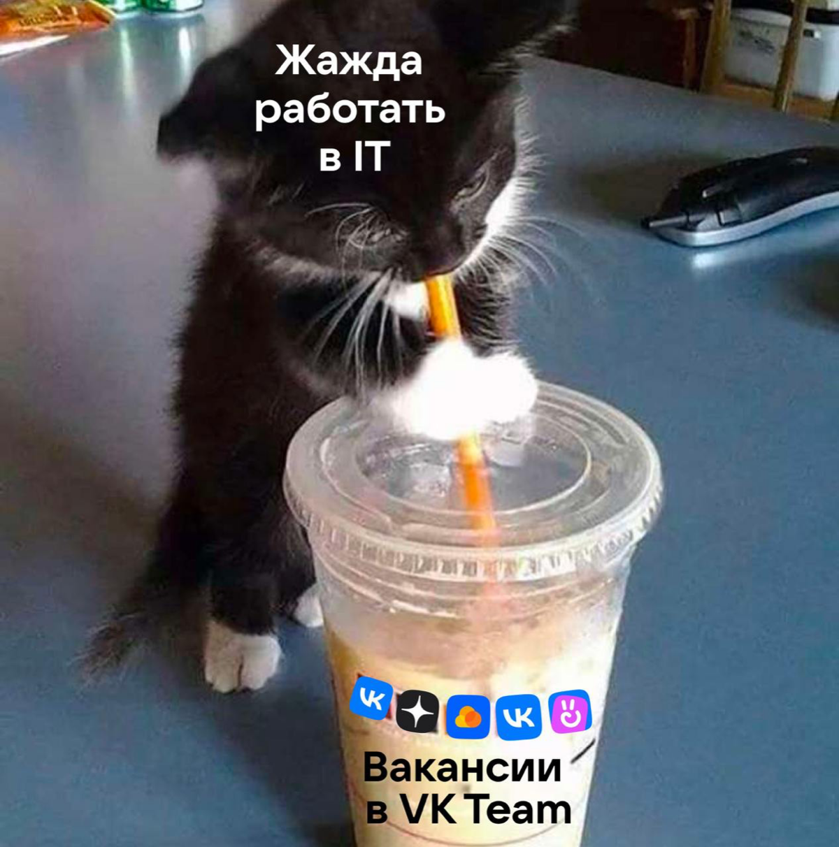 Моргните, если вы искали вакансию в VK 
Ура, тогда этот дайджест для вас!
💯 Консультант SAP HR (HCM), Москва или удалённо
Коллеги из технического департамента в поиске того, кто поможет сделать работу... | Сетка — социальная сеть от hh.ru