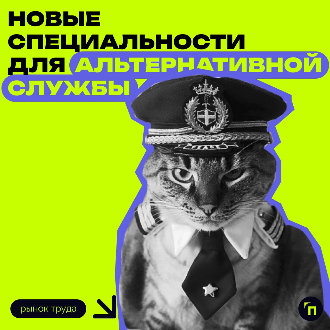 ⚡️ Новые специальности для альтернативной службы
Министерство труда и социальной защиты предложило расширить список профессий для альтернативной службы до 237 и добавить 1442 предприятия | Сетка — социальная сеть от hh.ru