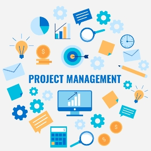 Project management