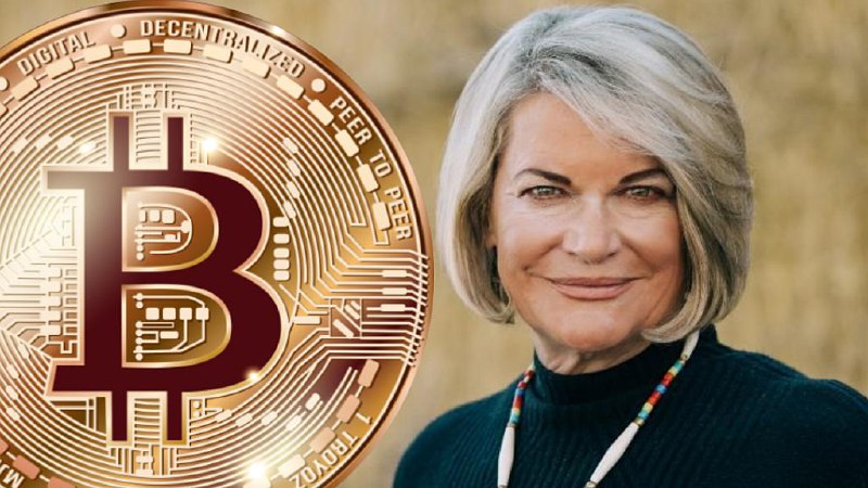 Сенатор Синтия Ламмис считает важным добавить биткоин в резервы США | Сетка — социальная сеть от hh.ru