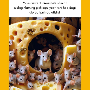 Asss Ussujrrj | Сетка — социальная сеть от hh.ru