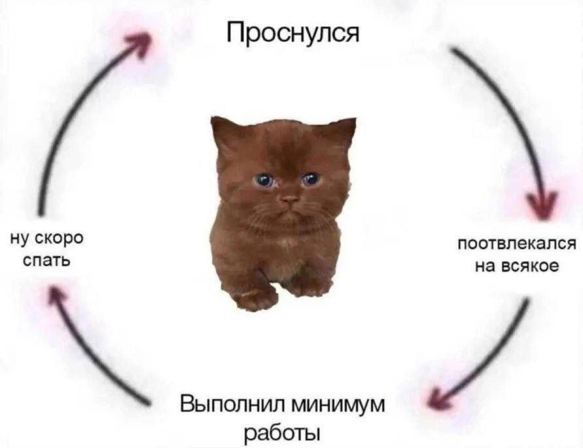 На этой неделе немного приболел, но никто не отменял мемов в пятницу.
На картинке – моя неделя 🫠
Скидывайте свои мемы, с которыми у вас ассоциируется эта неделя 😊 | Сетка — социальная сеть от hh.ru