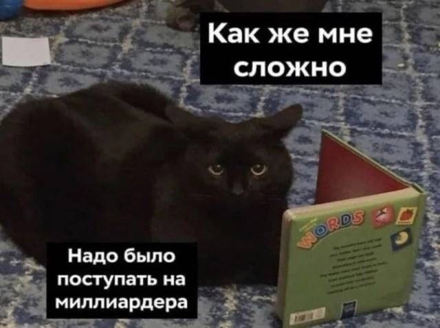 У меня финалится очередной поток Практикума разработки, есть выпускники готовые работать 💪 (начинающие программисты )
Практикум у нас проходит "по-взрослому", мы дорабатываем УТ, работаем с расширения... | Сетка — социальная сеть от hh.ru