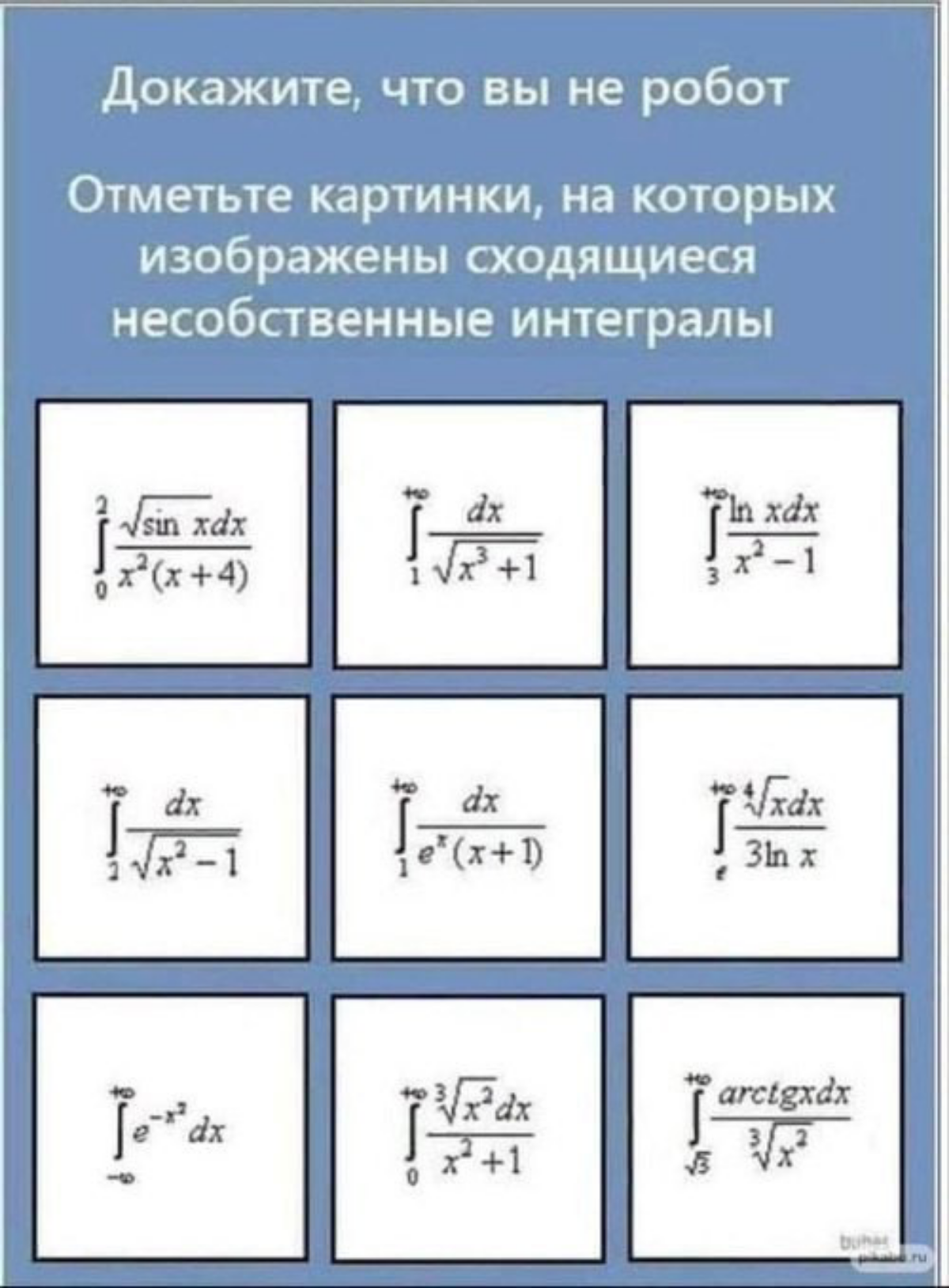 Сетка — социальная сеть от hh.ru