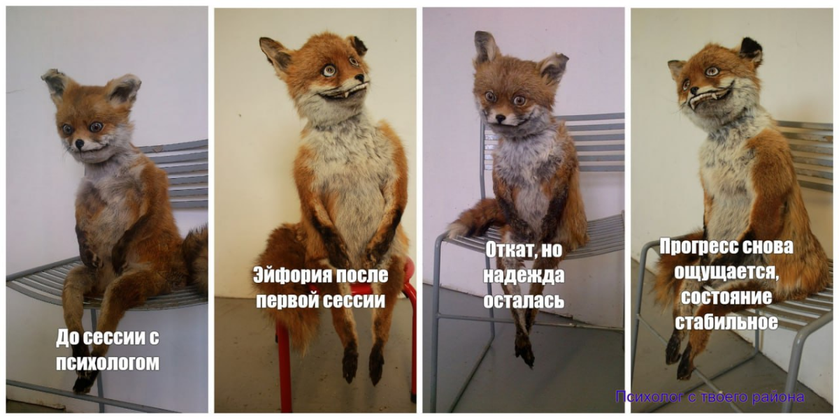 Как у меня проявляется прокрастинация? Надо допилить курс, над которым я тружусь уже 3 месяца.
Но вместо курса сделал мем про этапы бытия клиента в психотерапии на примере упоротой лисы😄 | Сетка — социальная сеть от hh.ru