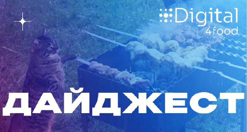 Июль запомнилася нам не только дачными посиделками, рыбалкой и шашлыками. В этом месяце мы провели вебинар, выпустили полезные чек-листы и, как всегда, поделились с вами интересными кейсами и статьями | Сетка — социальная сеть от hh.ru