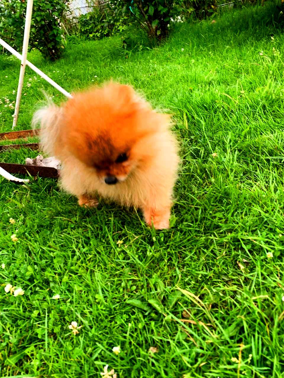 Когда мир говорит "нет", а ты говоришь "ДА!" 🎉
Девочки, признавайтесь, бывает же такое: горит душа, а окружающие смотрят на тебя как на чудачку? 😜 
Как маркетолог и наставник экспертов, я вижу это каж... | Сетка — социальная сеть от hh.ru