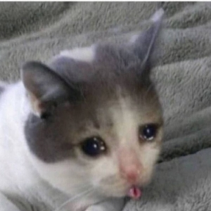 Дмитрий Бековщенко