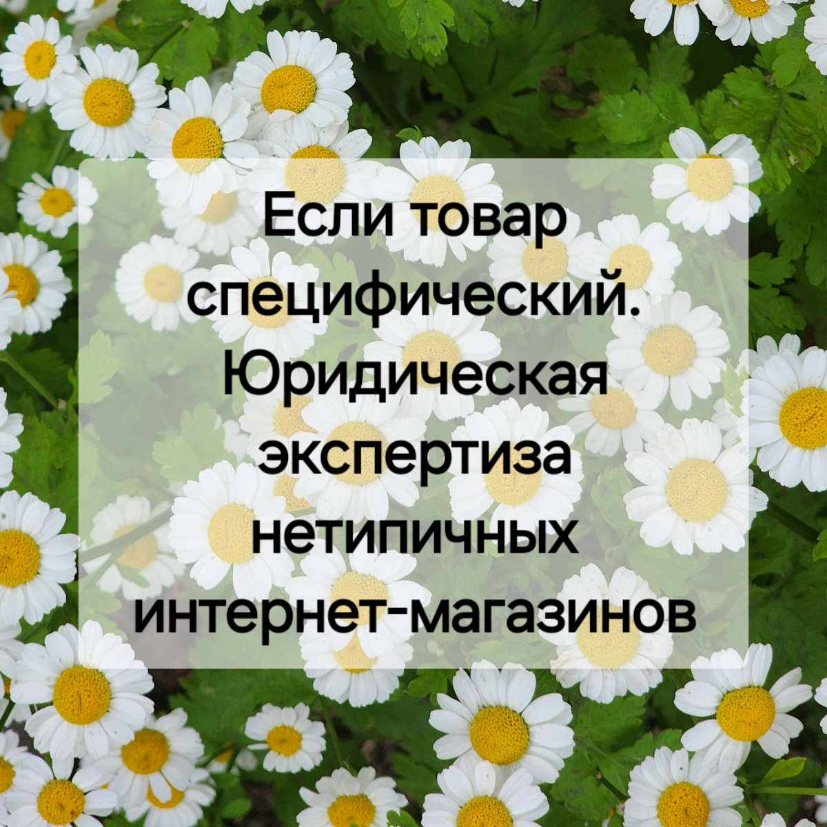 Юридическая экспертиза нетипичных интернет-магазинов | Сетка — социальная сеть от hh.ru