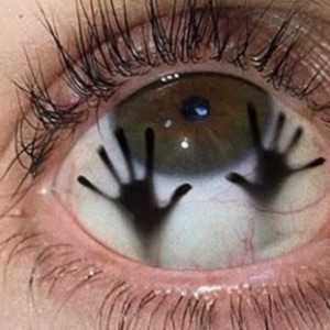 Толя Никитенко | Сетка — социальная сеть от hh.ru