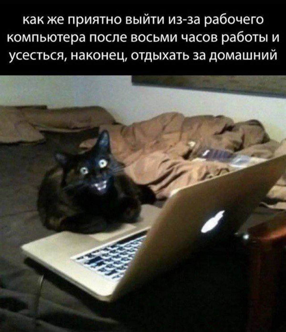 Когда даже выходить не надо 🫠 | Сетка — социальная сеть от hh.ru