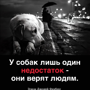 Вадим Татарин