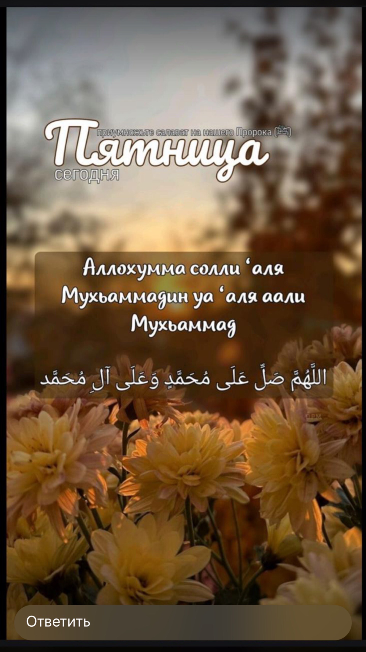 Это тот день над которым восходит солнце 😎 | Сетка — социальная сеть от hh.ru