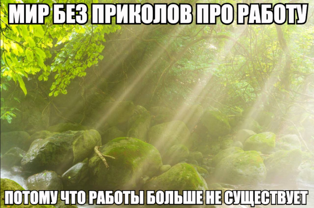 С пятницей, коллеги! | Сетка — социальная сеть от hh.ru