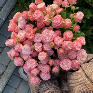 Саша Кузнецова | Сетка — социальная сеть от hh.ru