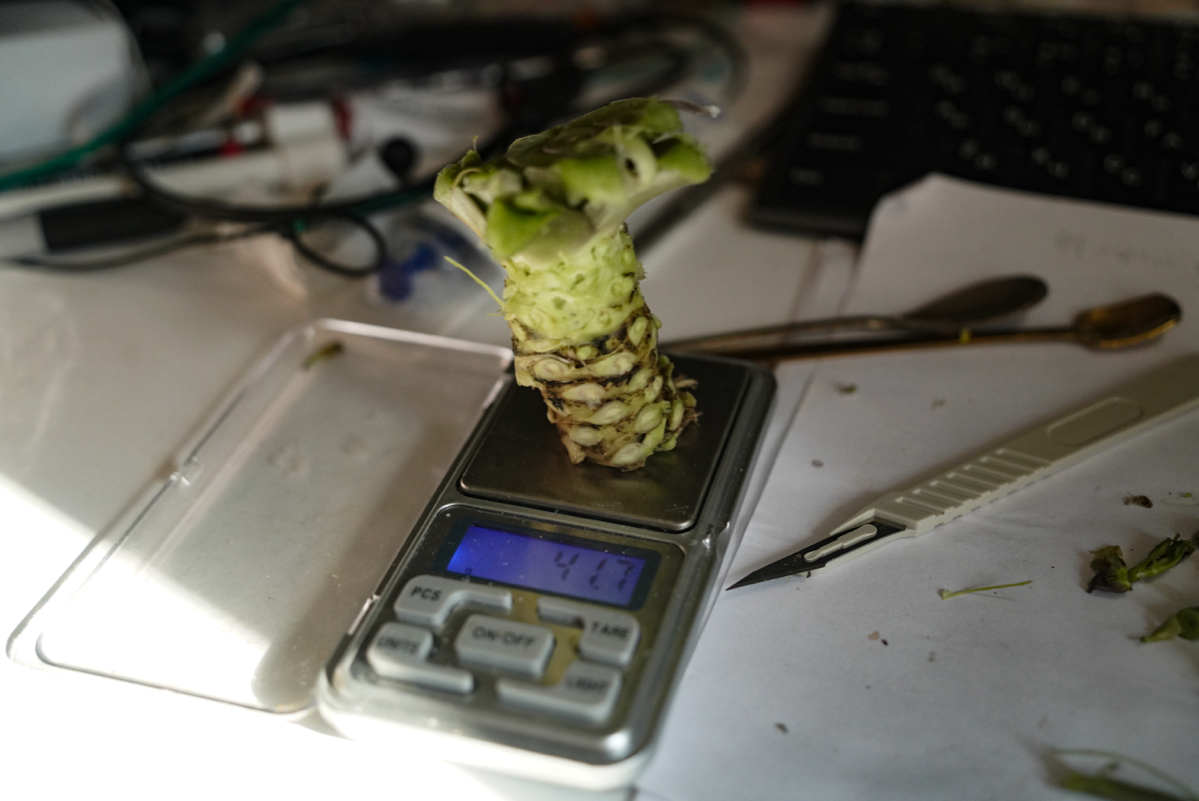 Урожай-урожай | Сетка — социальная сеть от hh.ru