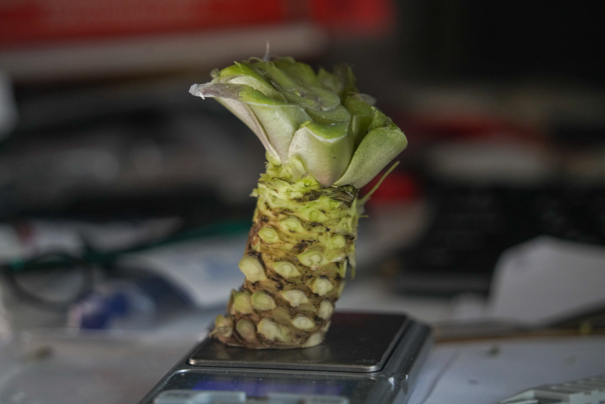 Урожай-урожай | Сетка — социальная сеть от hh.ru