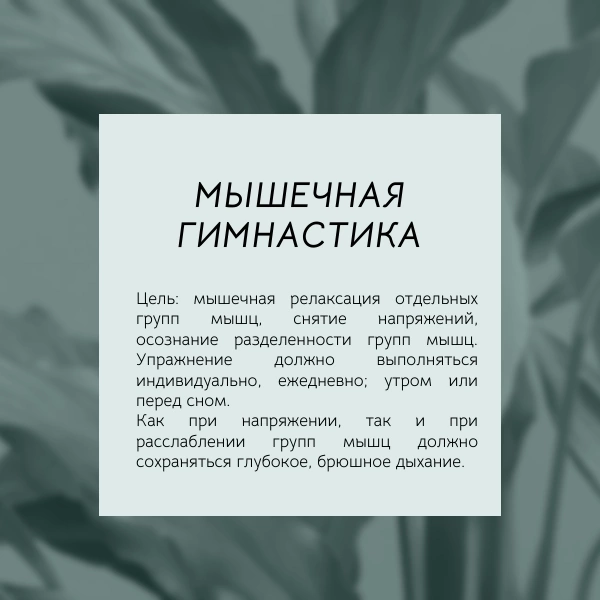 Умеешь напрягаться 👉 умей и расслабляться
Техника "Мышечная гимнастика" отлично подойдет для самостоятельного выполнения, как с утра, так и в середине, так и в конце дня | Сетка — социальная сеть от hh.ru