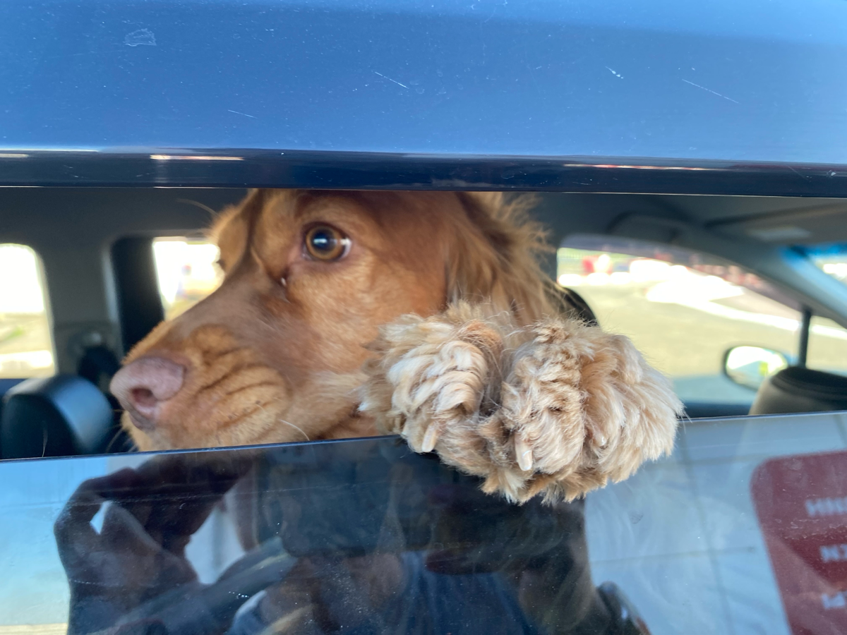 Как привыкнуть к правильной постановке задачи | Сетка — социальная сеть от hh.ru