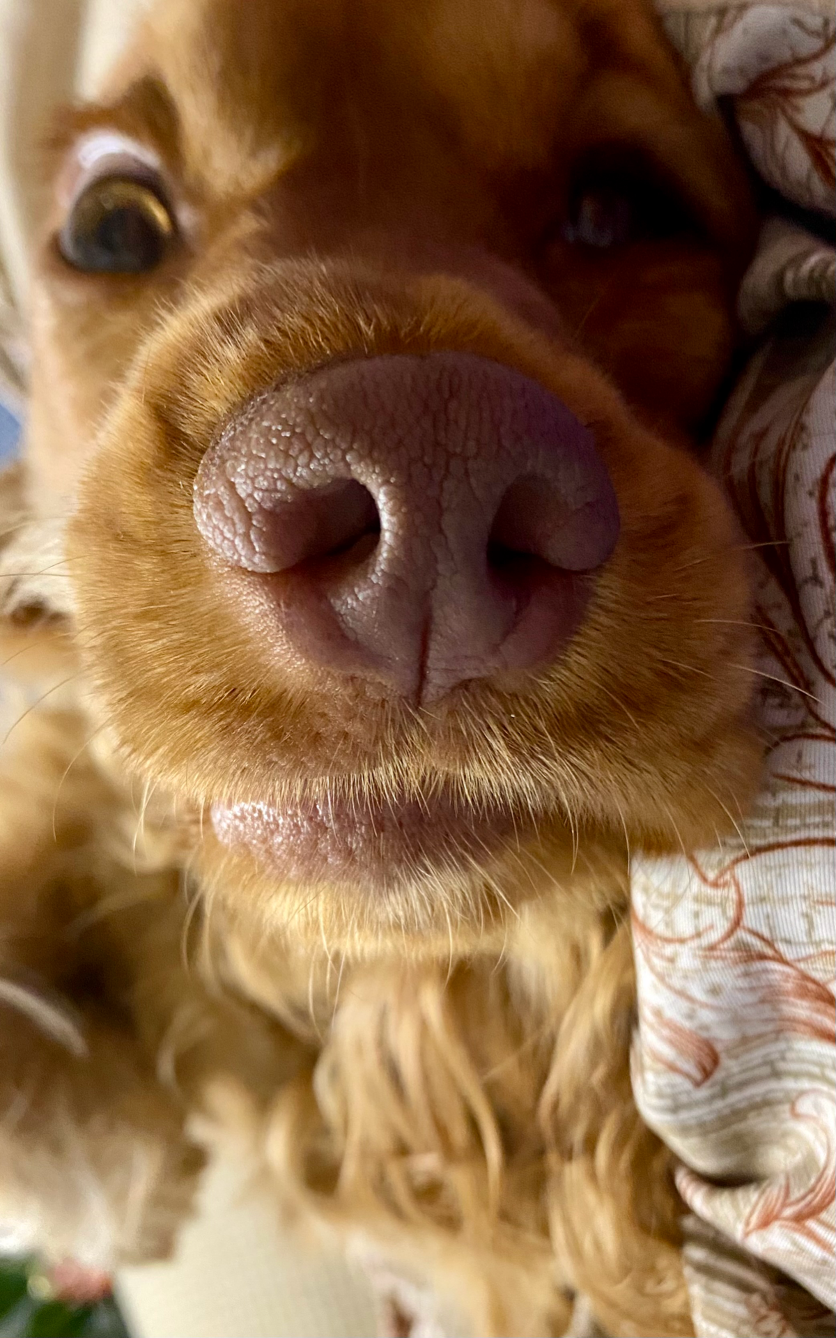 Как привыкнуть к правильной постановке задачи | Сетка — социальная сеть от hh.ru