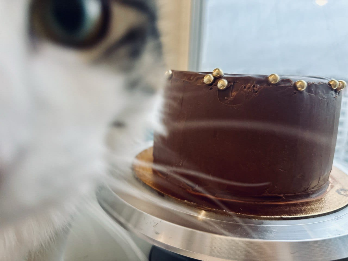 Кастомизировать или персонализировать приложение? | Сетка — социальная сеть от hh.ru