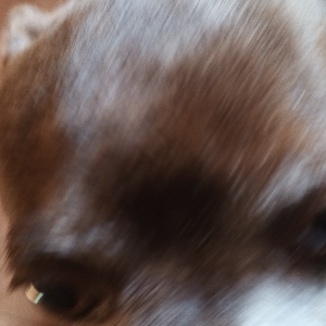 Ксюша Татару | Сетка — социальная сеть от hh.ru