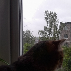 Надежда Никонова