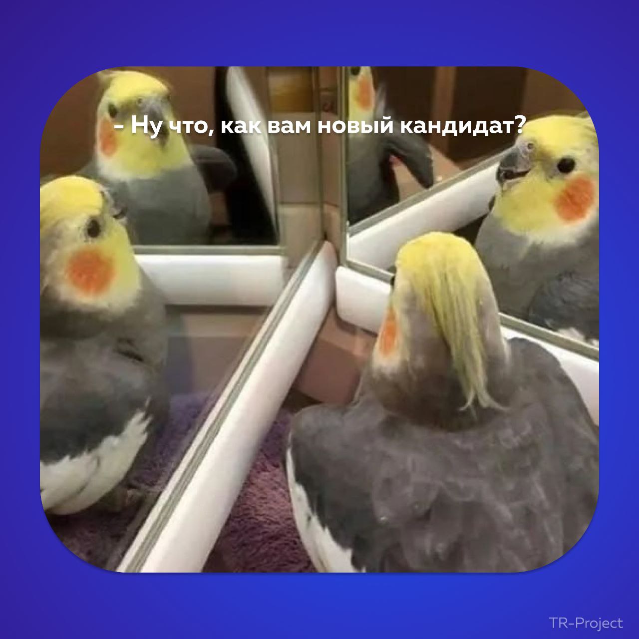 Последствия многочисленных летних отпусков в HR-отделе…
Если вы не в отпуске, а в поиске работы — приглядитесь к нашим вакансиям, возможно мы ищем именно вас 😉

Координатор-аналитик (Краснодар);
Мерча... | Сетка — социальная сеть от hh.ru