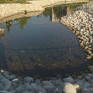 Руслан Минатуллаев