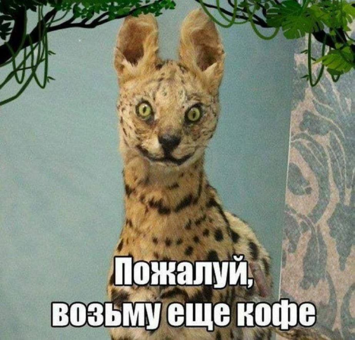 Ребята, как настраиваетесь на рабочий режим?)) | Сетка — социальная сеть от hh.ru