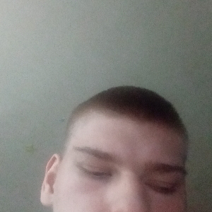 Андрей Звездин