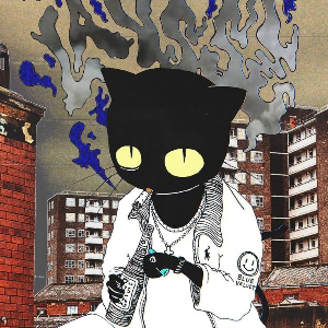 Полина Малышева | Сетка — социальная сеть от hh.ru