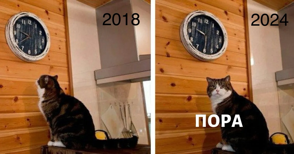 Эксперимент: тренируем важнейшее качество CEO | Сетка — социальная сеть от hh.ru