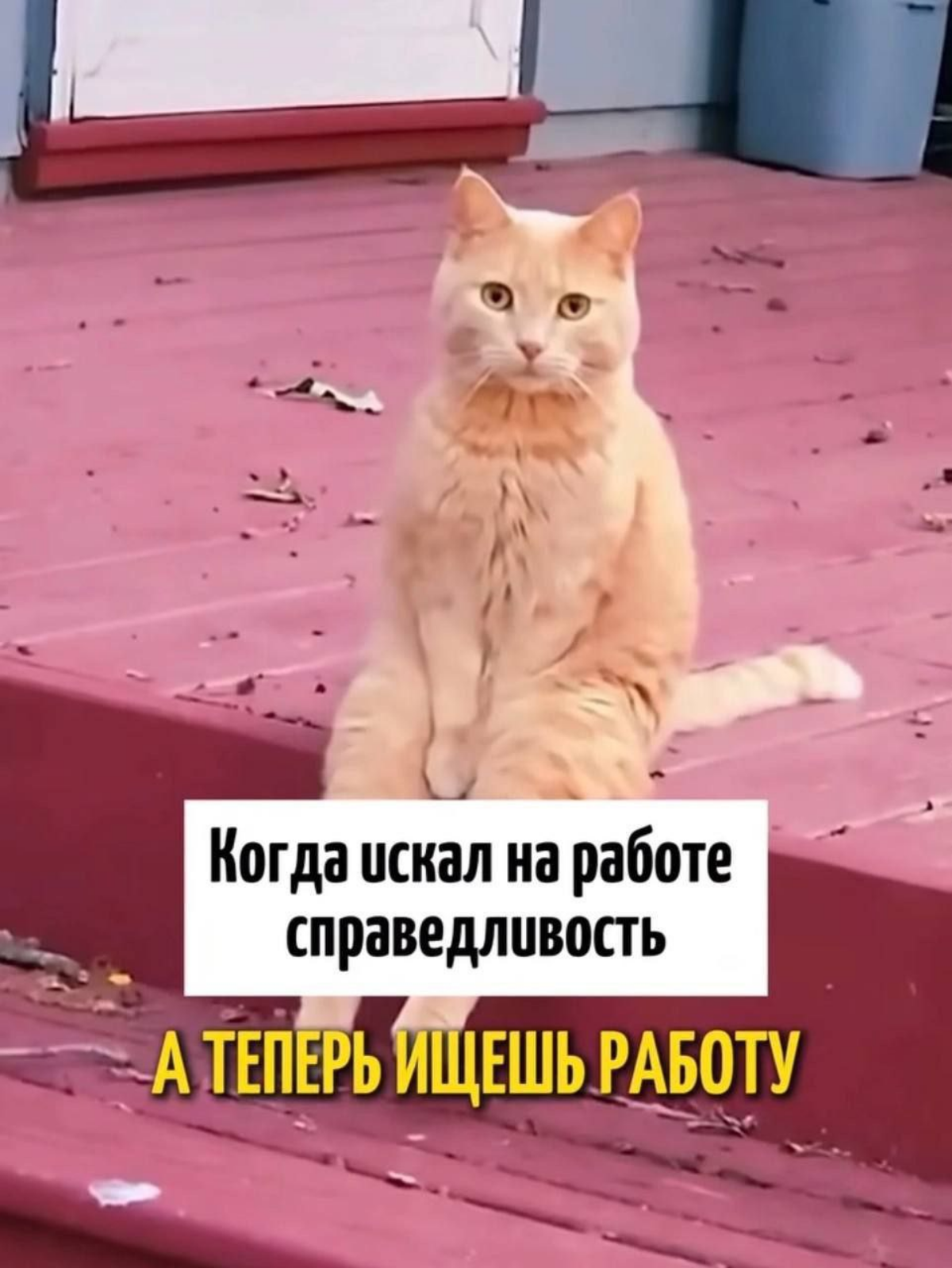 Искали когда-нибудь справедливость на работе?))) | Сетка — социальная сеть от hh.ru