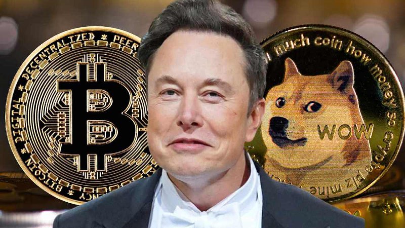 Илон Маск считает, что речь Трампа на конференции пойдёт на пользу BTC | Сетка — социальная сеть от hh.ru