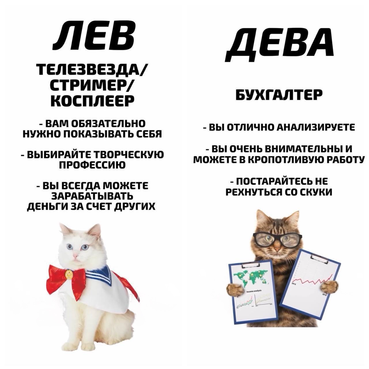 Эксперты рассказали, какая ты профессия по знаку зодиака. | Сетка — социальная сеть от hh.ru