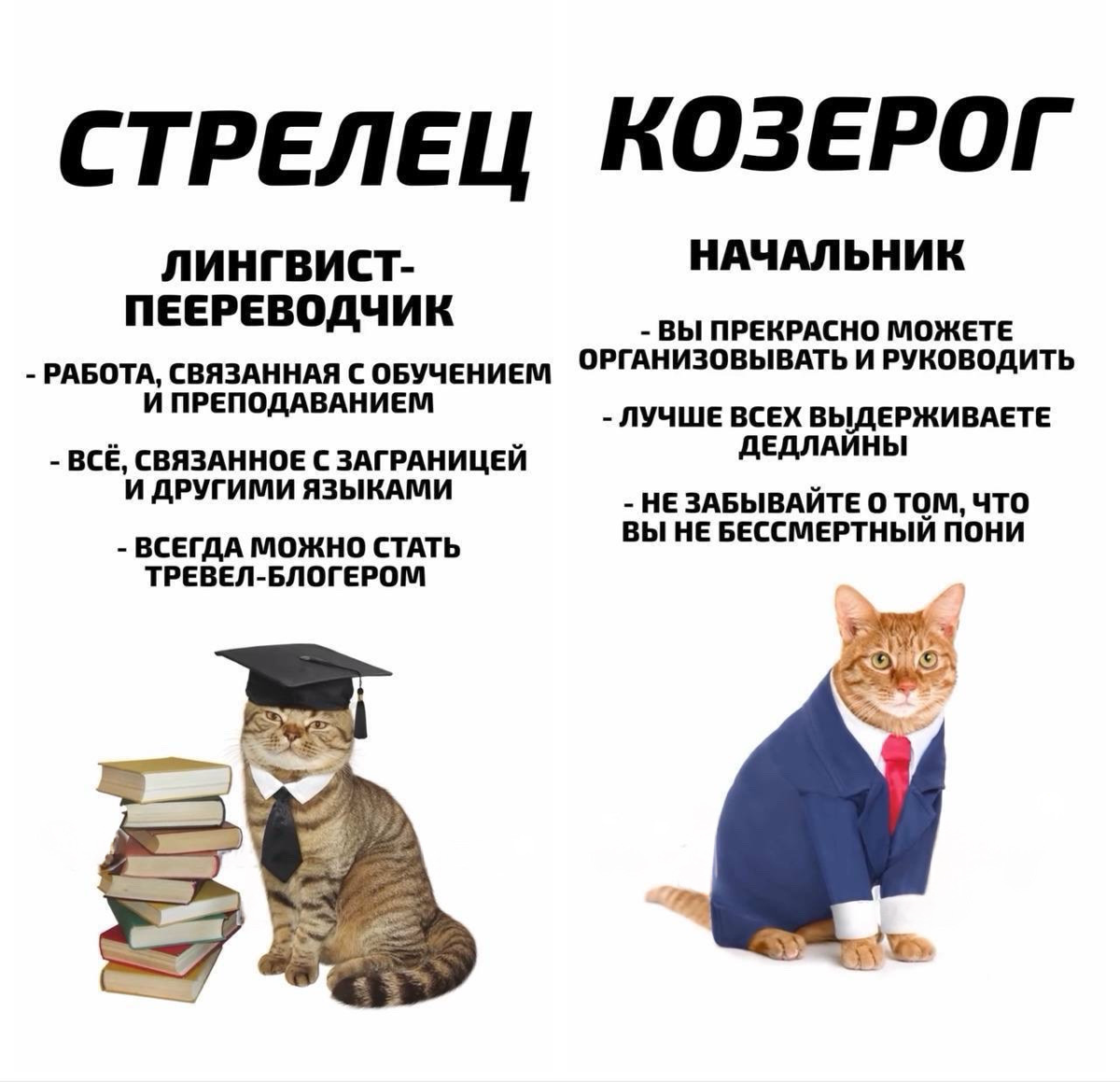 Эксперты рассказали, какая ты профессия по знаку зодиака. | Сетка — социальная сеть от hh.ru